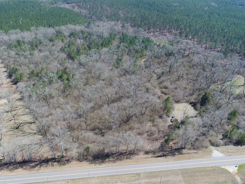 26 Acres Butler Co : Greenville : Butler County : Alabama