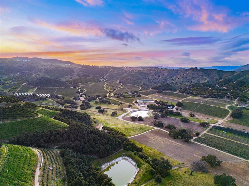 Fairfield Farms : Pauma Valley : San Diego County : California