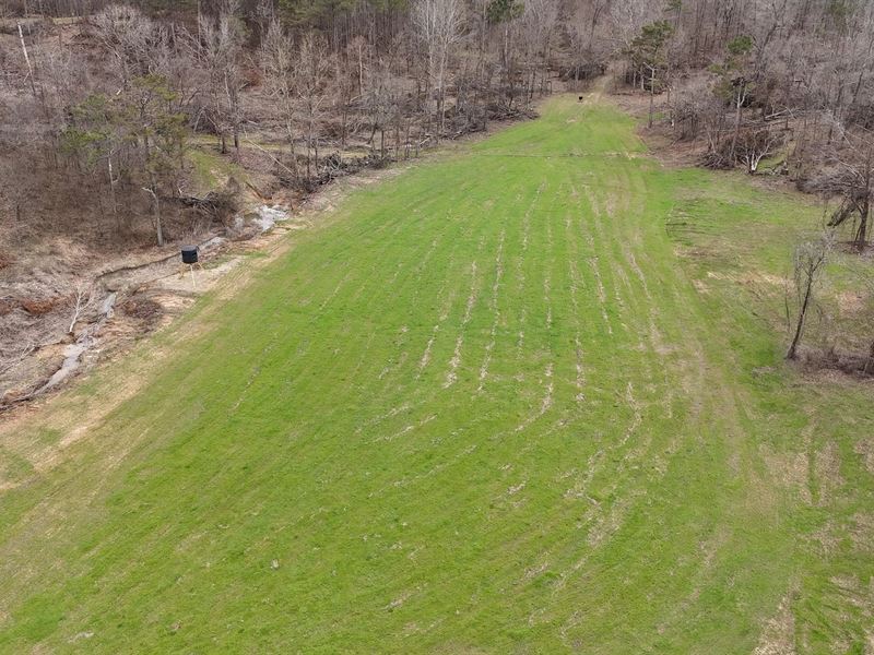 175 Acres in Marshall County, MS : Lamar : Marshall County : Mississippi