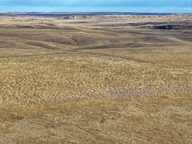 Jones 160 Grazing : Murdo : Jones County : South Dakota