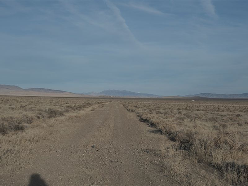 Priced Right, Mountain Views : Lovelock : Pershing County : Nevada