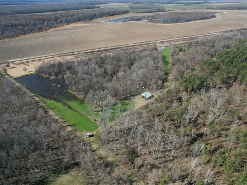 100 Acres in Carroll County, MS : Sidon : Carroll County : Mississippi