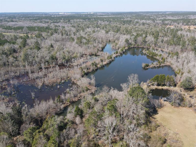 Newton 95 Ponds and River : Newton : Dale County : Alabama