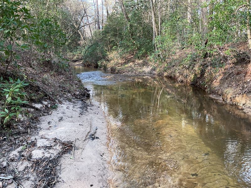 Mill Creek Tract : Red Level : Covington County : Alabama