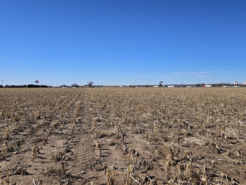 Big Springs Irrigated : Big Springs : Deuel County : Nebraska