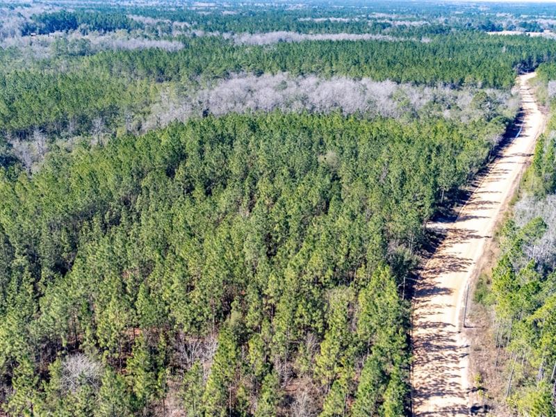 86 Ac Developement, Timberland, Hun : Hosford : Liberty County : Florida