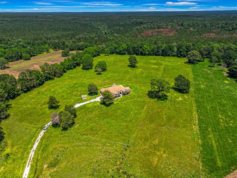 12 Acres, 565 Four Notch Rd : Huntsville : Walker County : Texas