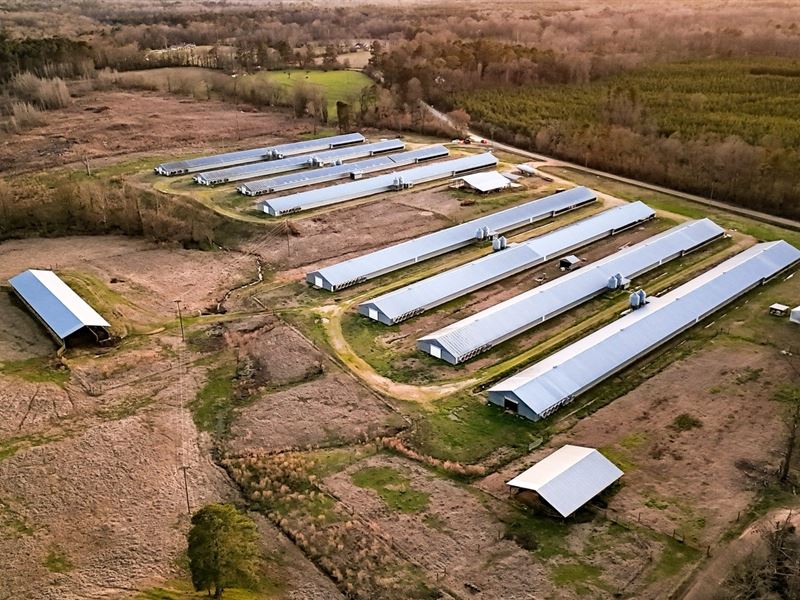 Sugar Broiler Farm : Pinola : Simpson County : Mississippi