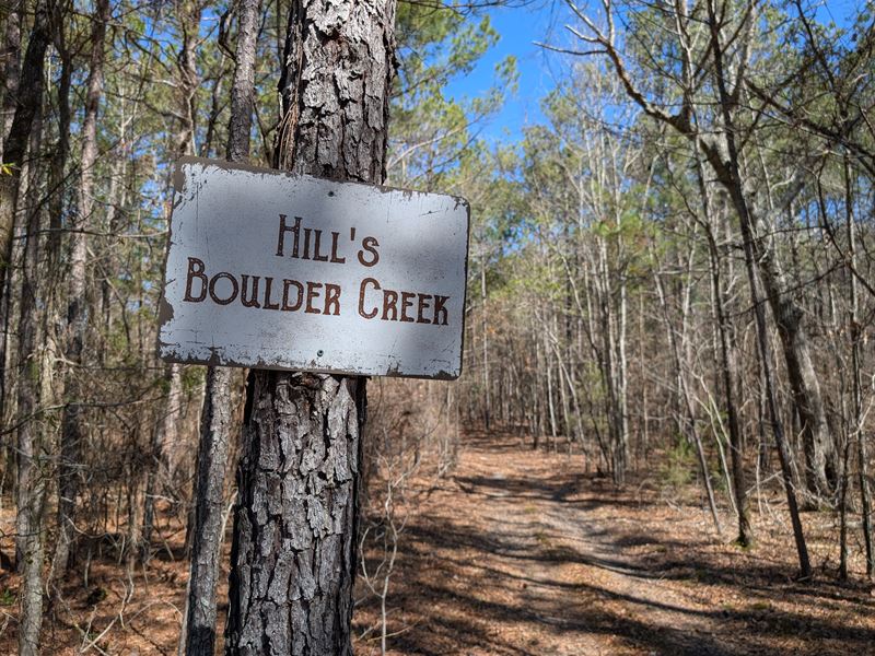 Hill's Boulder Creek 84 Acres : Eclectic : Alabama - Elmore County : Alabama