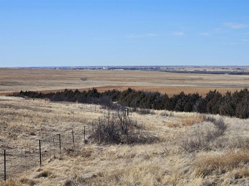 Sedgwick County Crp-Grass : Sedgwick : Sedgwick County : Colorado