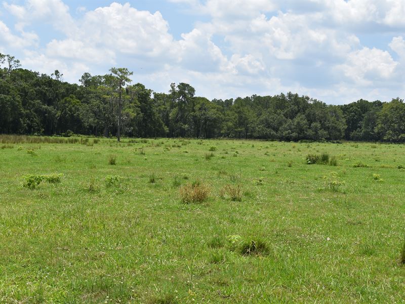 Lake County Ranch Land 153 : Groveland : Lake County : Florida