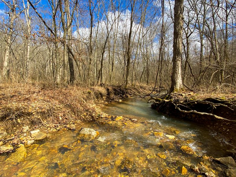 Texas County 180 : Willow Springs : Howell County : Missouri