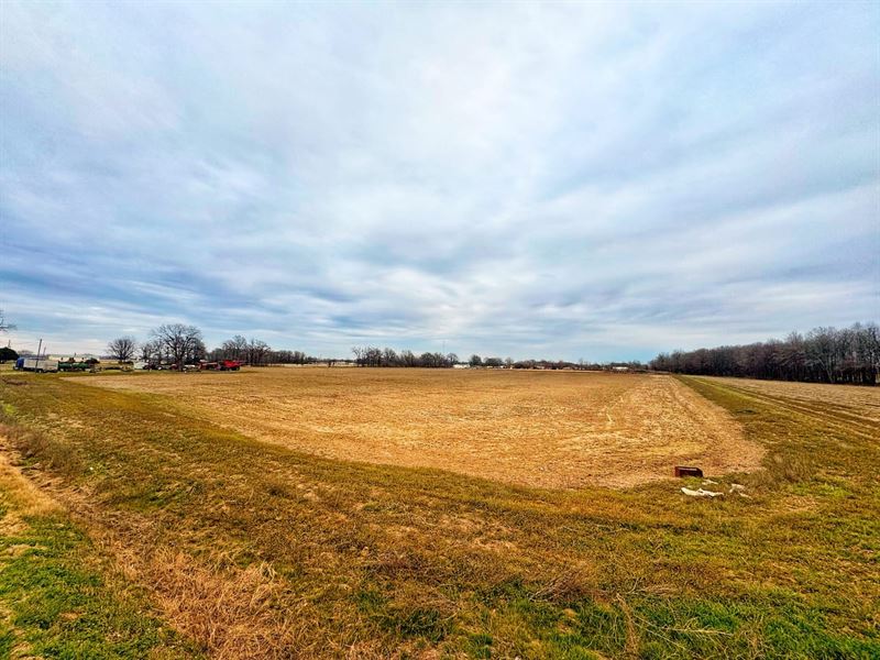 20 Acres of Farmland Between Clevel : Merigold : Bolivar County : Mississippi