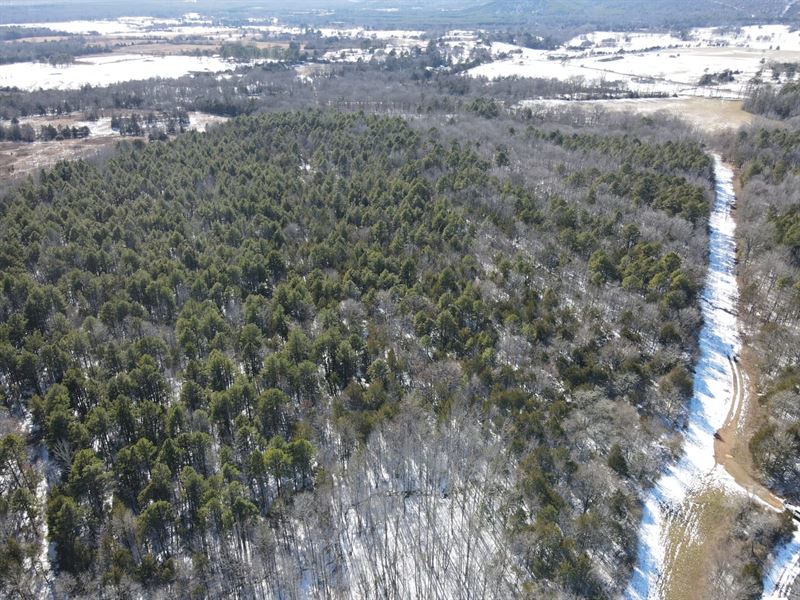 40 Acres, Prime Hunting Land or Ho : Bee Branch : Van Buren County : Arkansas