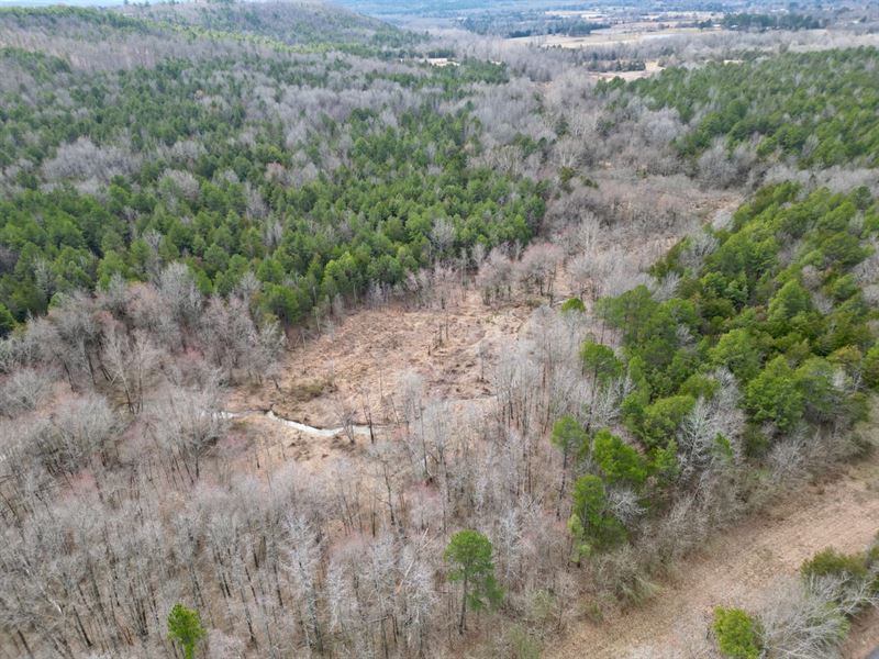 51 Acre Prime Hunting, Homestead or : Bee Branch : Van Buren County : Arkansas