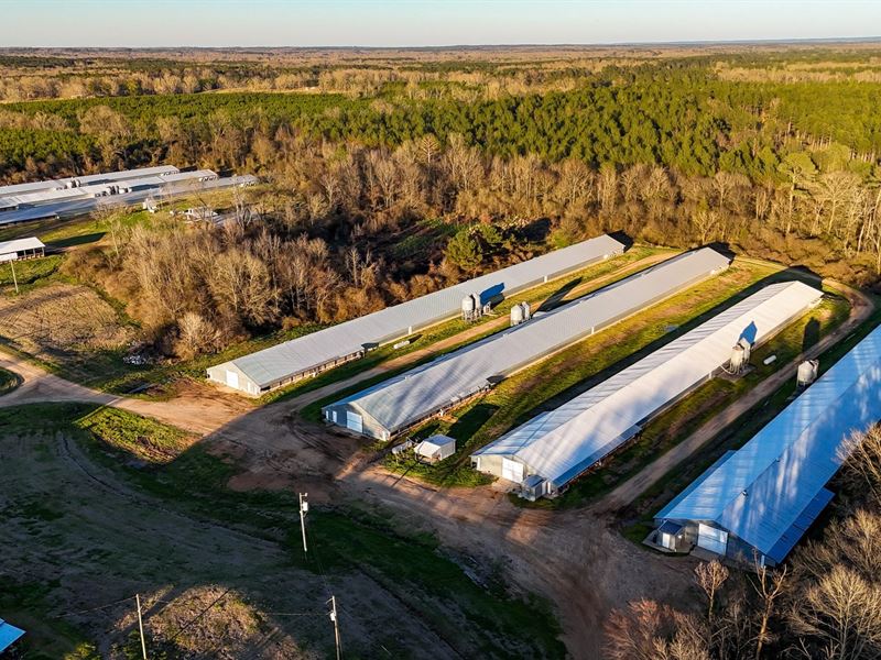 Thang Broiler Farm : Wesson : Copiah County : Mississippi