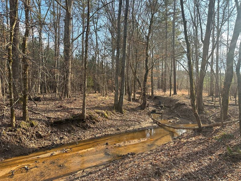 Greenway Tract, +/- 464 Acres : Eatonton : Putnam County : Georgia