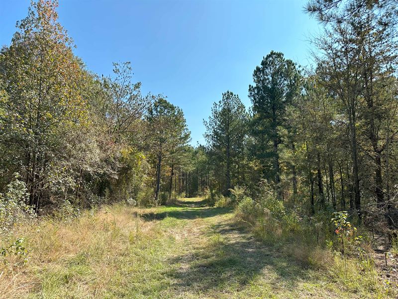 Hearthstone Creek +/- 68 Acres : Carlton : Oglethorpe County : Georgia