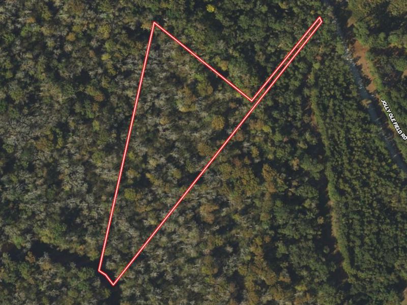 5.38 Acres of Creekfront Hunting : Grifton : Pitt County : North Carolina