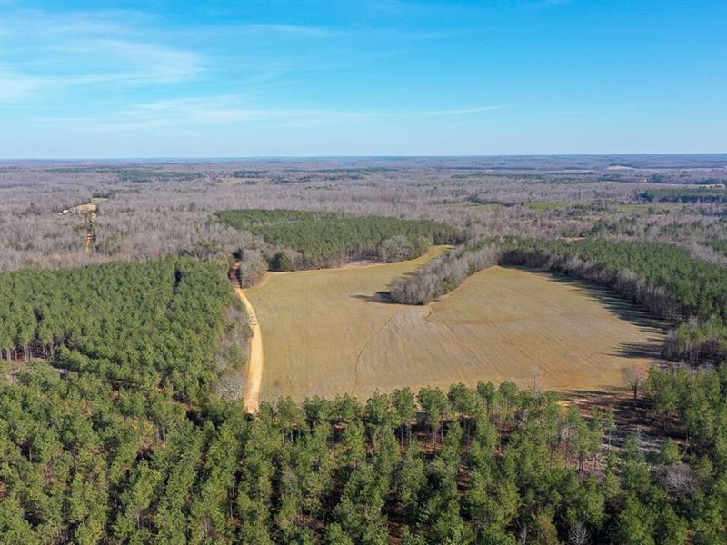 215 Acres to Hunt or Homestead : Saltillo : Hardin County : Tennessee