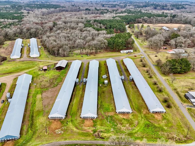 Poultry Farm On 28 Acres with Home : Choudrant : Lincoln Parish : Louisiana