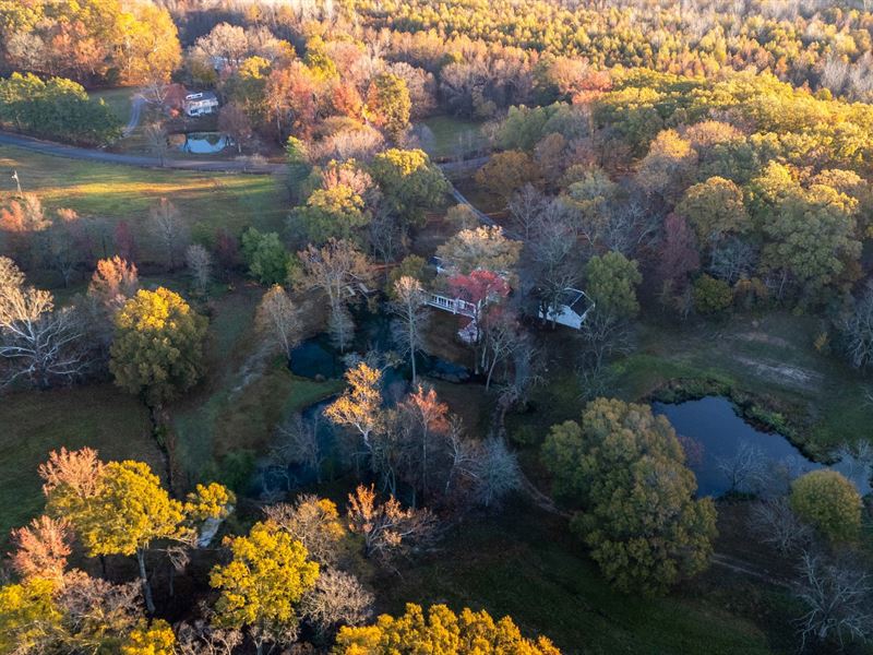 Endless Acres Wildlife Farms : Marianna : Lee County : Arkansas