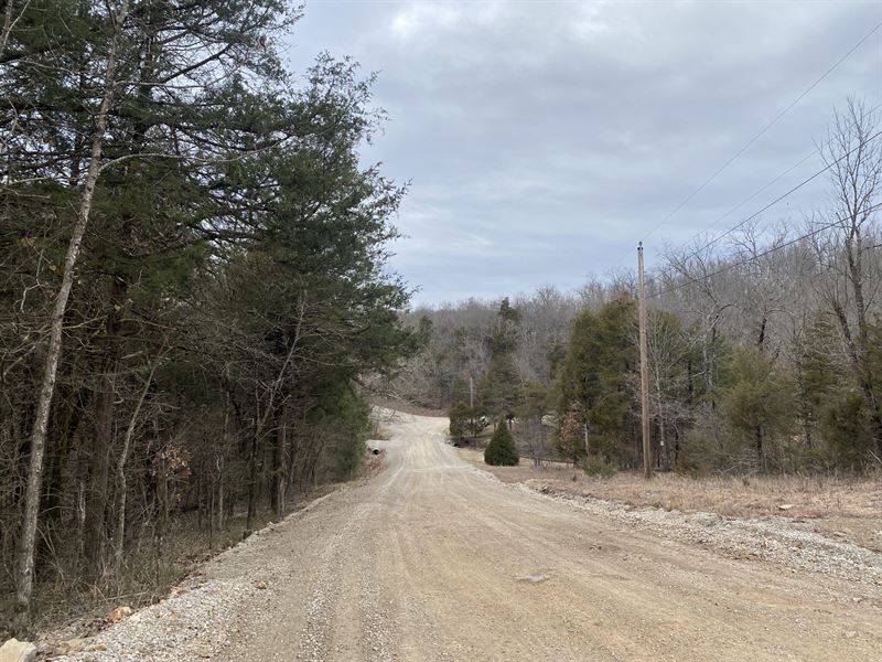 Beautiful 6.9 Acres Wooded Land : Mountain Home : Baxter County : Arkansas