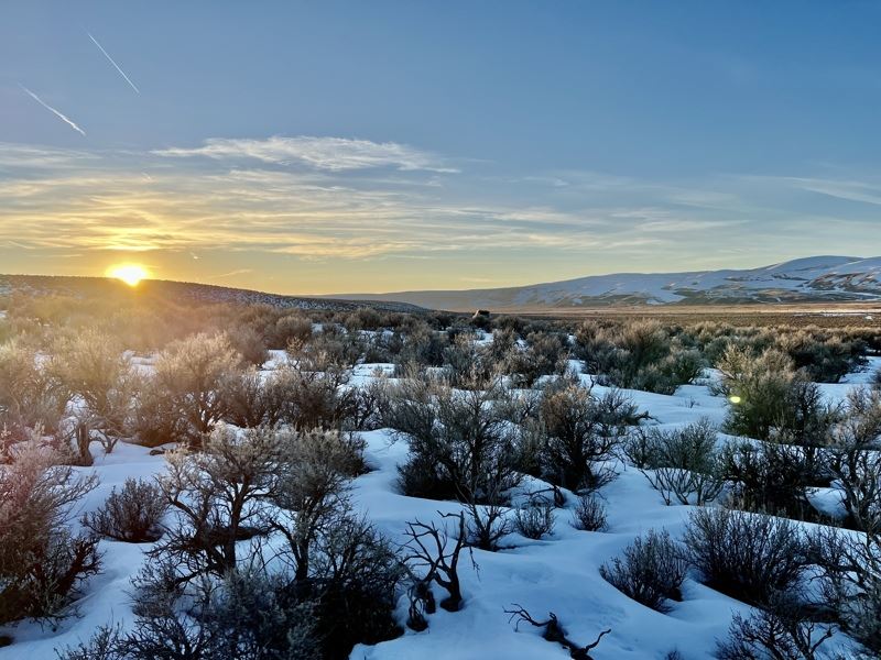 Your Open Space for Possibilities : Montello : Elko County : Nevada