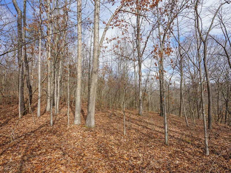 Jackson Fork Lot 1 : South Webster : Scioto County : Ohio