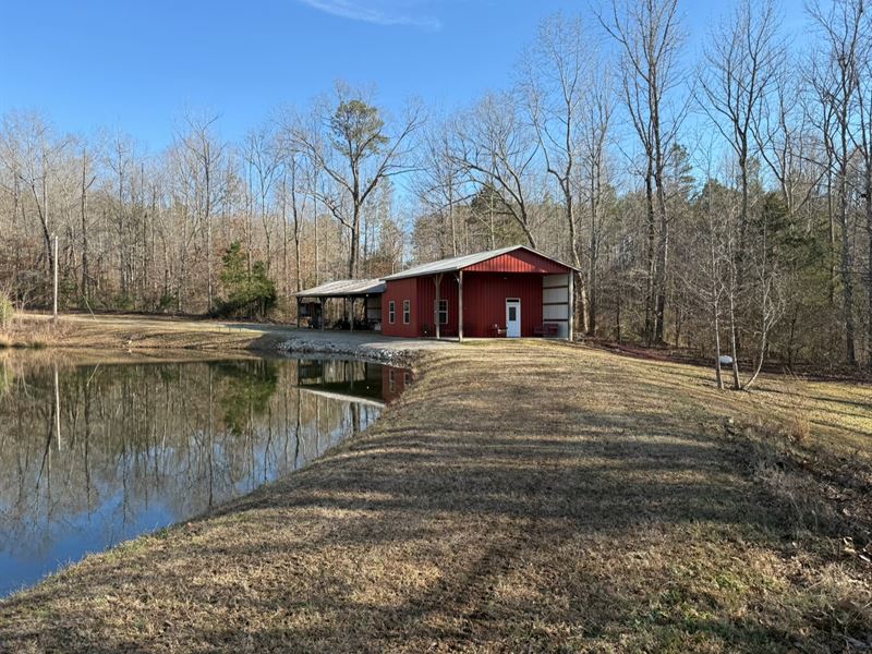 The Forest Hill 70, Spring Fed Pond : Bolivar : Hardeman County : Tennessee