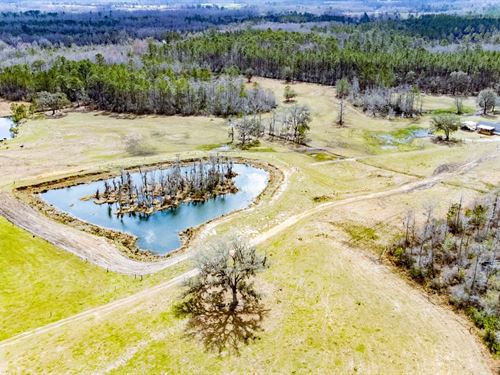 193 Ac Turn-Key Ranch With Home, Po : Greenville : Madison County : Florida