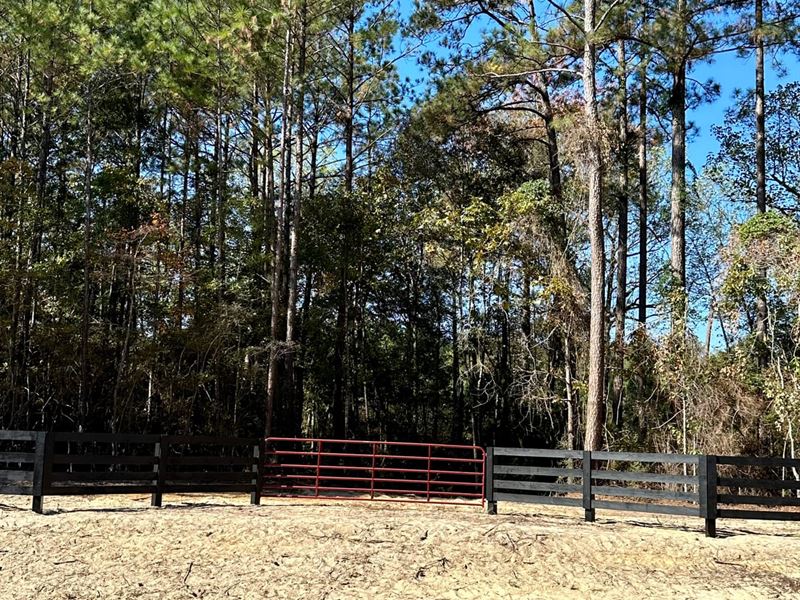 23.65 Acres Lot 8 Old Salt : Andalusia : Covington County : Alabama