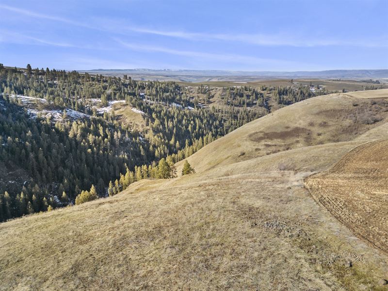 Cottonwood Creek Recreation : Culdesac : Nez Perce County : Idaho