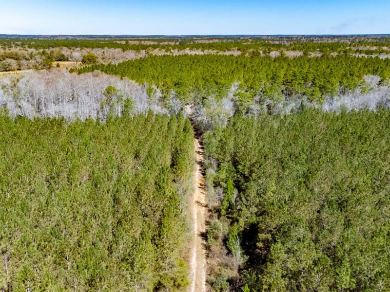 418 Ac Beautiful Recreational Tract : Chipley : Washington County : Florida