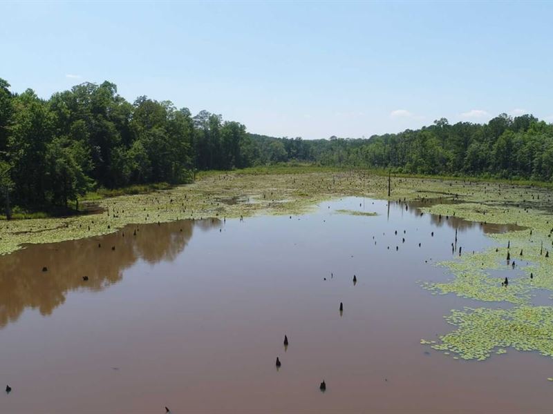 126 Acres Crenshaw Co : Petrey : Crenshaw County : Alabama