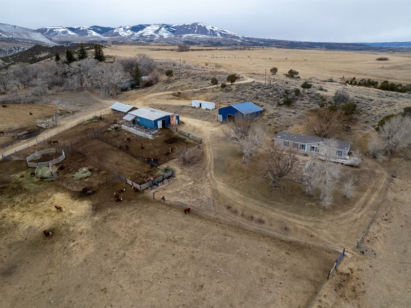 Pallesen Ranch : Manila : Daggett County : Utah