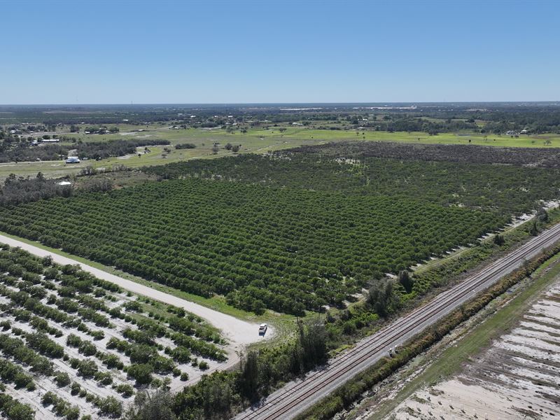 83 Acres on Snyder Road Sebring : Sebring : Highlands County : Florida