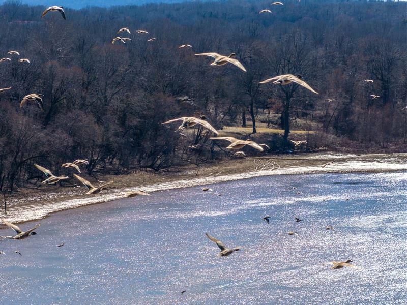 Whistling Wings Hideaway : McAlester : Pittsburg County : Oklahoma