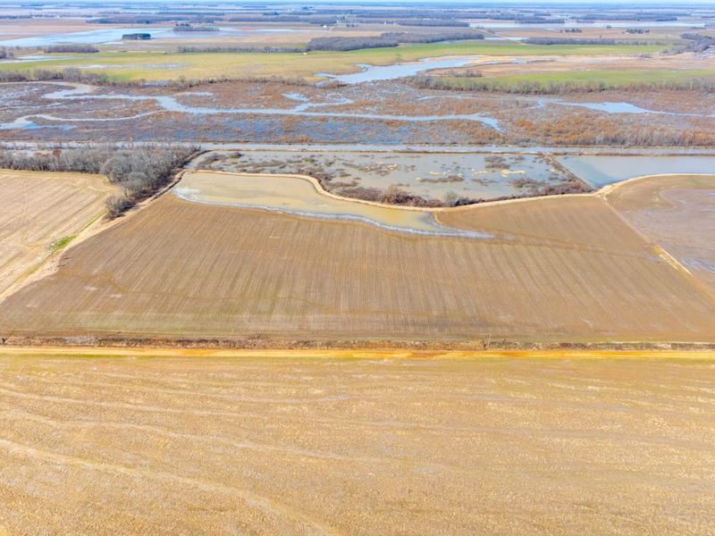 Duck and Goose Hunting Land, 41 : Fair Oaks : Cross County : Arkansas