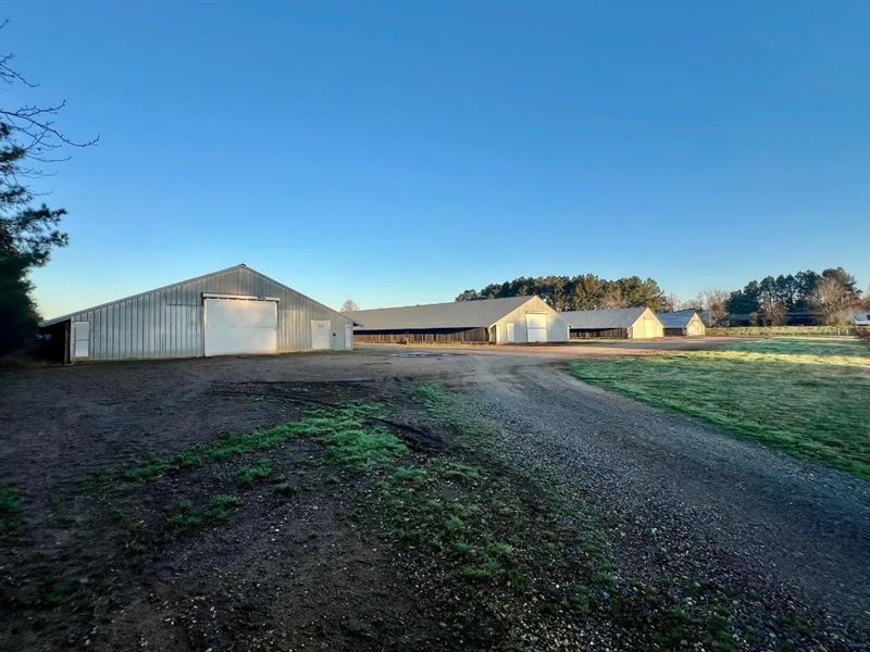 Louisiana Poultry 8 House Broiler : Jonesboro : Jackson Parish : Louisiana