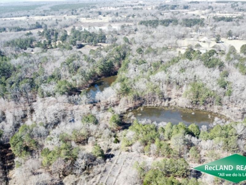 80 Ac, Hunting or Home Site : Monroe : Ouachita Parish Parish : Louisiana