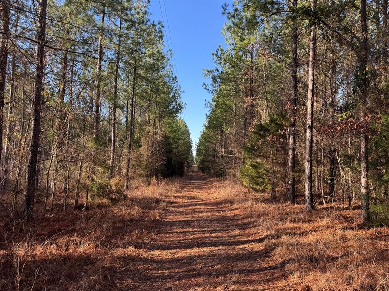 178.71 Acres, in Camp Hill, Tallapo : Camp Hill : Tallapoosa County : Alabama