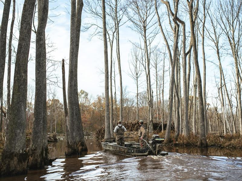 Premier West TN Duck Hunting : Eaton : Gibson County : Tennessee