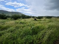 Beautiful Double U Ranch : Tombstone : Cochise County : Arizona