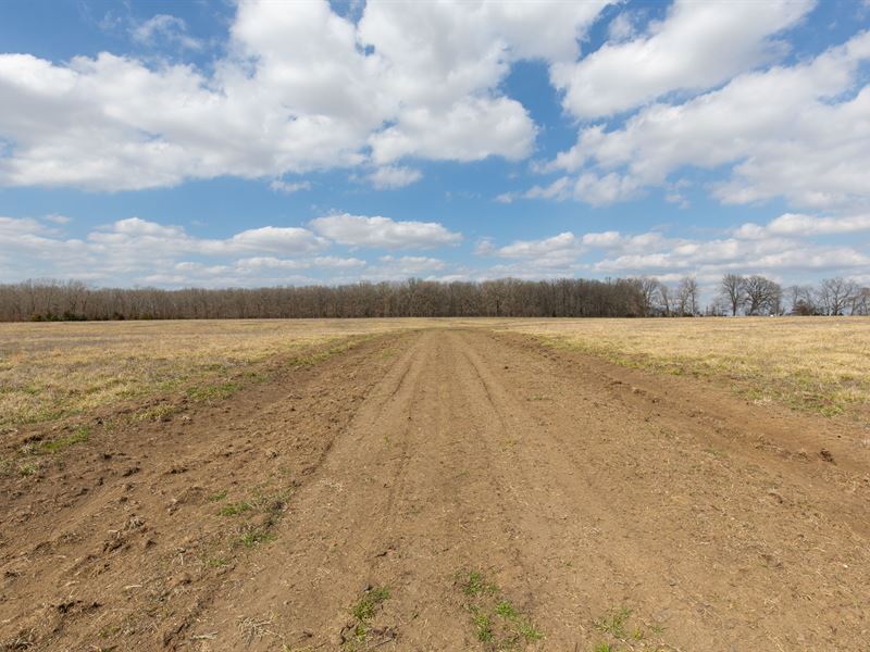 $999 Down Land with Electricity : Clarksville : Red River County : Texas