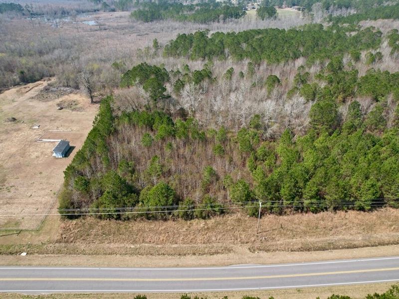 9.91 Acres of Recreational and Hunt : Nakina : Columbus County : North Carolina