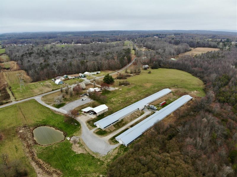 Novak Broiler Farm : Bryant : Jackson County : Alabama