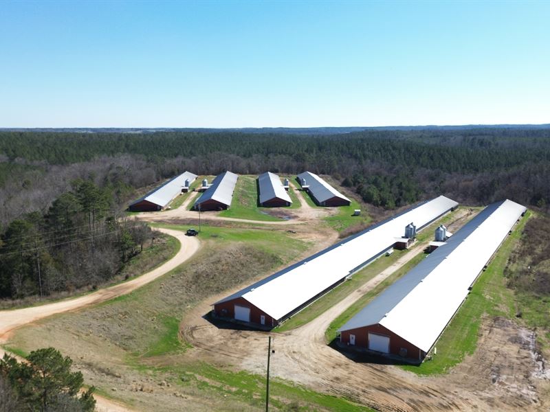 Nice 6 House Broiler Poultry Farm : Iva : Anderson County : South Carolina