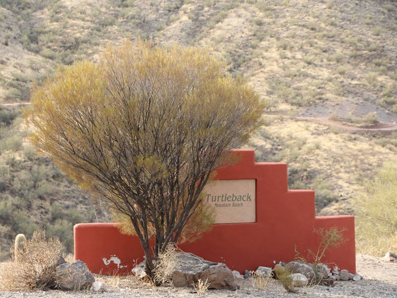 Turtleback Mountain Wickenburg AZ : Wickenburg : Maricopa County : Arizona