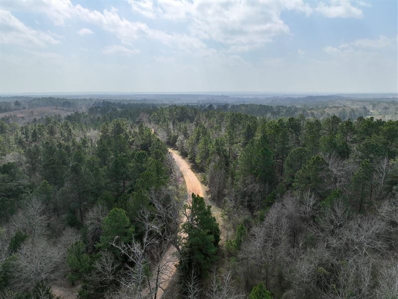 15 Acres, T-1, County Road 2317 : Alto : Cherokee County : Texas